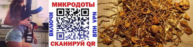 Псилоцибиновые грибы Cubensis  цены наркотик  Беслан 